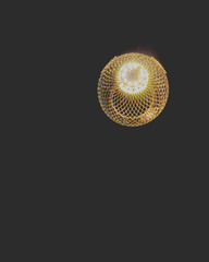 golden lamp ball on black background