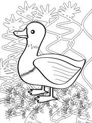 coloring for children. cute duck on the lake. black and white outline drawing by hand. doodle style.
