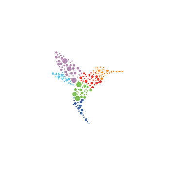 hummingbird vector logo design
