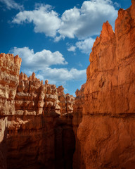 bryce canyon national park in utah usa