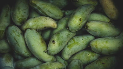 Fresh green mangoes from the mango trees in dark tone