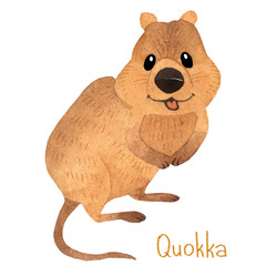 Cute kawaii hand drawn watercolor art. Smiling australian quokka. Isolated on white background