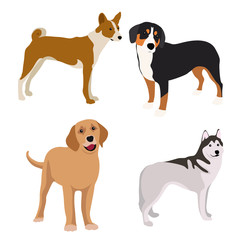 Dogs collection. Vector illustration of funny cartoon different breeds dogs in trendy flat style