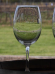  glass, landscape, vinicola, wine, vineyard, wine tasting, barrel, barrel, mountain, glasses in the vineyard