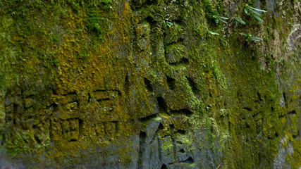 Engraved Japanese text on moss-covered stone