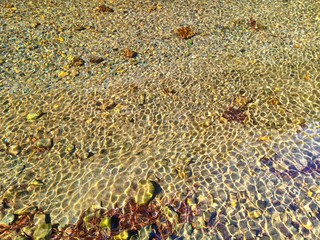 background of dry leaves