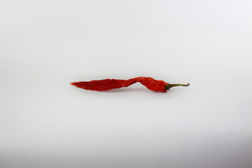 Red chilli isolated on white background