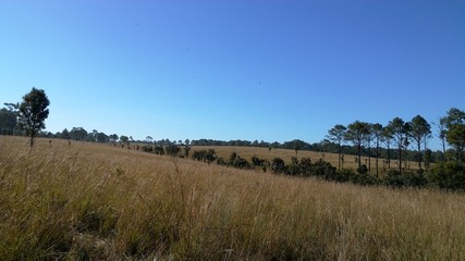 Jpeg,sky,landscape,grass,nature,field,brown,hill,countryside,blue