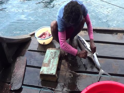 Cutting fish by local fisherman during Zafari in Raja Ampat