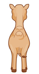 Camel Back View Illustration