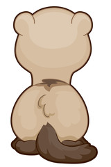 Ferret Back View Illustration