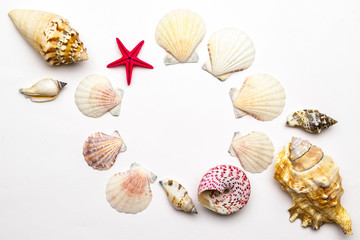 Summer sale. Living Coral color seashells, red starfish in shape frame isolated on white background. Hello Summer is coming concept