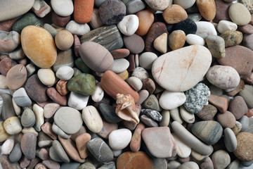 Gravel pattern of colored stones with shell. Abstract nature pebbles background.Small sea stones on the beach, vacation at sea. Top view 