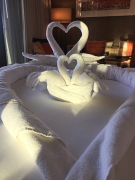 Towel Art