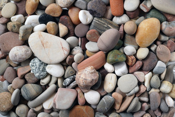 Gravel pattern of colored stones with shell. Abstract nature pebbles background.Small sea stones on the beach, vacation at sea. Top view 