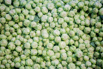 Kohlrabi cabbage vegetables have been arranged for export. Close-up views.