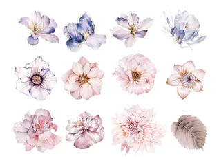 Blumen-Aquarell-Illustration.Manuelle Komposition.Big Set-Aquarell-Elemente. © lin