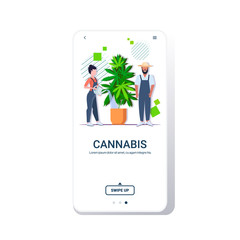 farmers couple watering cannabis industrial hemp plantation growing marijuana plant in pot drug consumption agribusiness concept smartphone screen mobile app copy space full length vector illustration