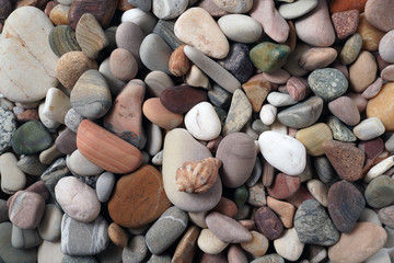 Gravel pattern of colored stones with shell. Abstract nature pebbles background.Small sea stones on the beach, vacation at sea. Top view 