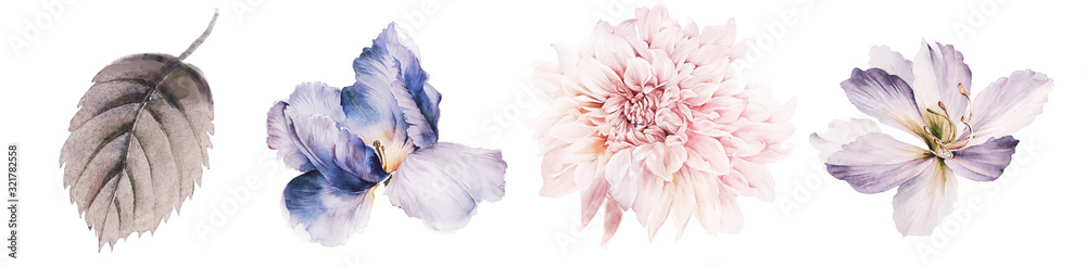 Wall mural flowers watercolor illustration.manual composition.big set watercolor elements.