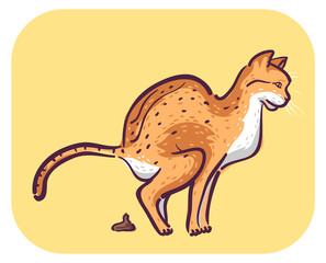 Cat Symptom Frequent Defecating Illustration