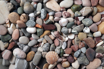 Gravel pattern of colored stones with shell. Abstract nature pebbles background.Small sea stones on the beach, vacation at sea. Top view 