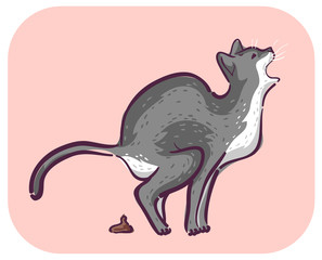 Cat Symptom Meow Pain Defecating Illustration