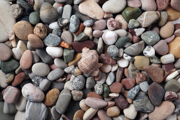 Gravel pattern of colored stones with shell. Abstract nature pebbles background.Small sea stones on the beach, vacation at sea. Top view 