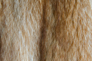 Texture of natural raccoon fur. Brown fur with long villi.