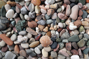 Gravel pattern of colored stones with shell. Abstract nature pebbles background.Small sea stones on the beach, vacation at sea. Top view 