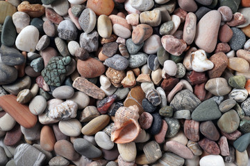 Gravel pattern of colored stones with shell. Abstract nature pebbles background.Small sea stones on the beach, vacation at sea. Top view 