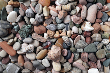 Gravel pattern of colored stones with shell. Abstract nature pebbles background.Small sea stones on the beach, vacation at sea. Top view 