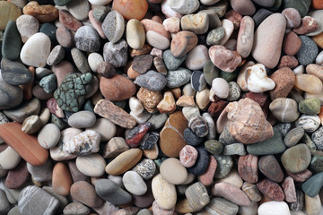 Gravel pattern of colored stones with shell. Abstract nature pebbles background.Small sea stones on the beach, vacation at sea. Top view 