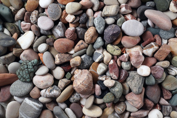 Gravel pattern of colored stones with shell. Abstract nature pebbles background.Small sea stones on the beach, vacation at sea. Top view 