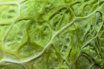 Wirsingkohl, Textur, Hintergrund, Makro