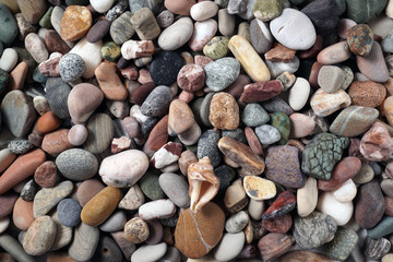 Gravel pattern of colored stones with shell. Abstract nature pebbles background.Small sea stones on the beach, vacation at sea. Top view 
