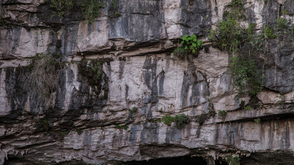 Basement of Las Golondrinas (Hirundo rustica) is a natural abyss located in the town of Aquismón belonging to the Mexican state of San Luis Potosí