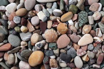 Gravel pattern of colored stones with shell. Abstract nature pebbles background.Small sea stones on the beach, vacation at sea. Top view 