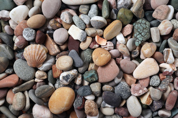 Gravel pattern of colored stones with shell. Abstract nature pebbles background.Small sea stones on the beach, vacation at sea. Top view 