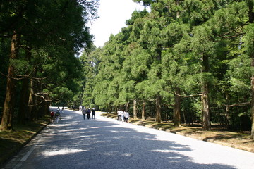多摩御陵参道の砂利道