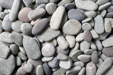 Gravel pattern of colored stones with shell. Abstract nature pebbles background.Small sea stones on the beach, vacation at sea. Top view   