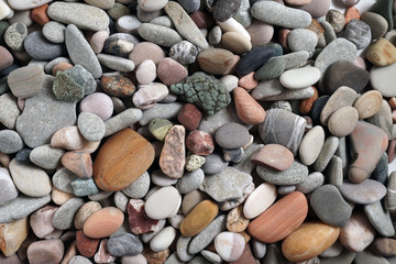 Gravel pattern of colored stones with shell. Abstract nature pebbles background.Small sea stones on the beach, vacation at sea. Top view   