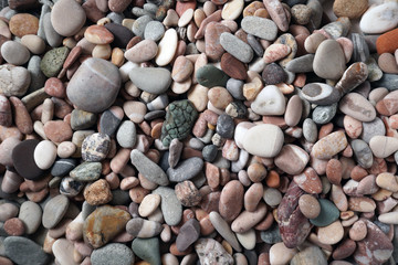 Gravel pattern of colored stones with shell. Abstract nature pebbles background.Small sea stones on the beach, vacation at sea. Top view   