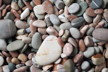 Gravel pattern of colored stones with shell. Abstract nature pebbles background.Small sea stones on the beach, vacation at sea. Top view   