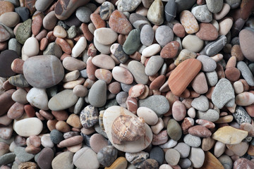 Gravel pattern of colored stones with shell. Abstract nature pebbles background.Small sea stones on the beach, vacation at sea. Top view 
