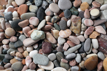 Gravel pattern of colored stones with shell. Abstract nature pebbles background.Small sea stones on the beach, vacation at sea. Top view   