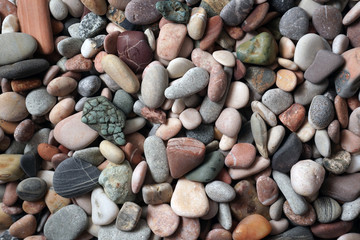 Gravel pattern of colored stones with shell. Abstract nature pebbles background.Small sea stones on the beach, vacation at sea. Top view   