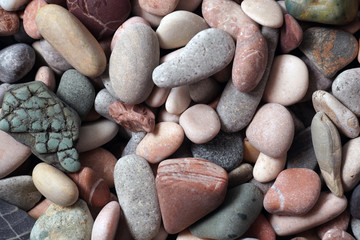 Gravel pattern of colored stones with shell. Abstract nature pebbles background.Small sea stones on the beach, vacation at sea. Top view   