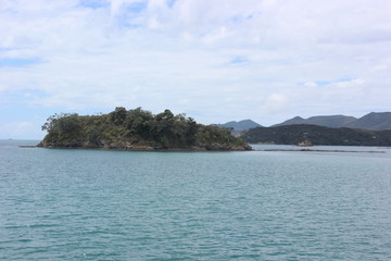 Naklejka premium Newzealand Nature