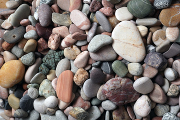 Gravel pattern of colored stones with shell. Abstract nature pebbles background.Small sea stones on the beach, vacation at sea. Top view   